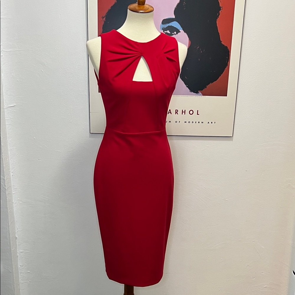 Red Cut Out Calvin Klein Dress - Picture 9 of 9